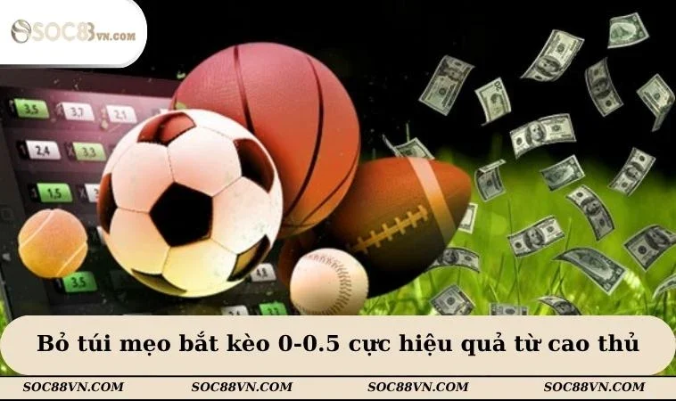 Bỏ túi mẹo bắt kèo 0-0.5 cực hiệu quả từ cao thủ