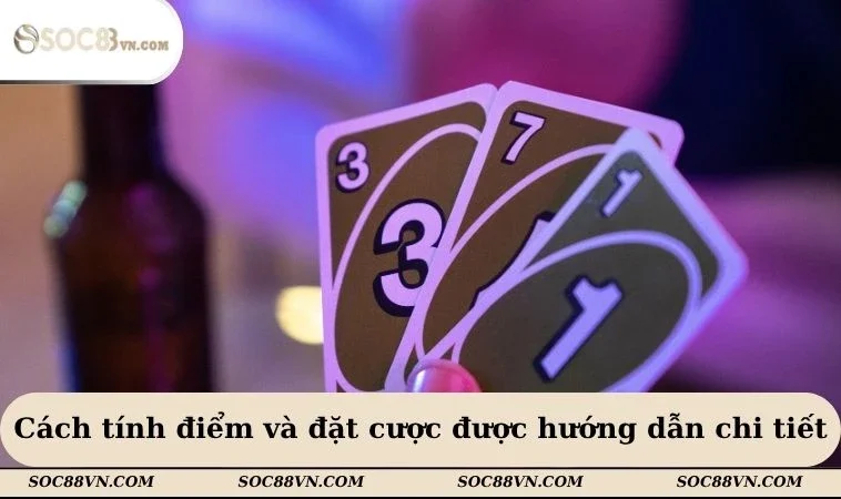 Cách tính điểm và đặt cược được hướng dẫn chi tiết