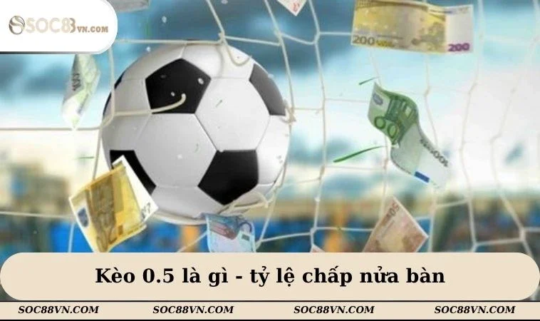 Kèo 0.5 là gì - tỷ lệ chấp nửa bàn