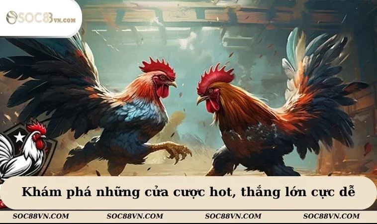 Khám phá những cửa cược hot, thắng lớn cực dễ