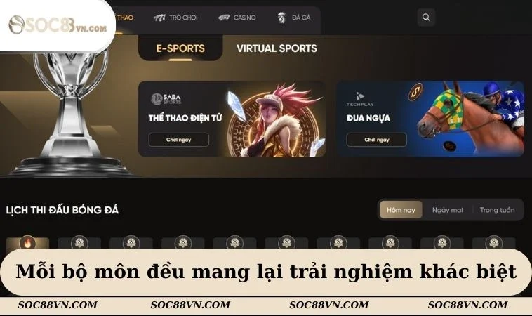 Mỗi bộ môn đều mang lại trải nghiệm khác biệt