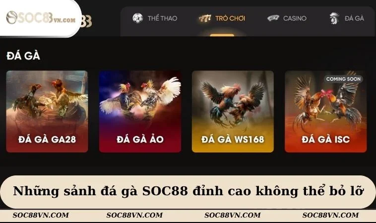 Những sảnh đá gà SOC88 đỉnh cao không thể bỏ lỡ