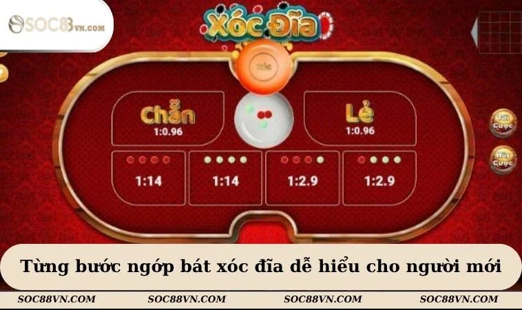 Từng bước ngớp bát xóc đĩa dễ hiểu cho người mới